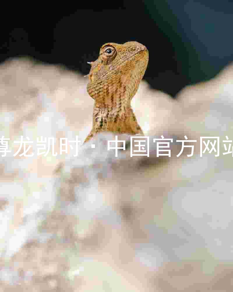 尊龙凯时·中国官方网站