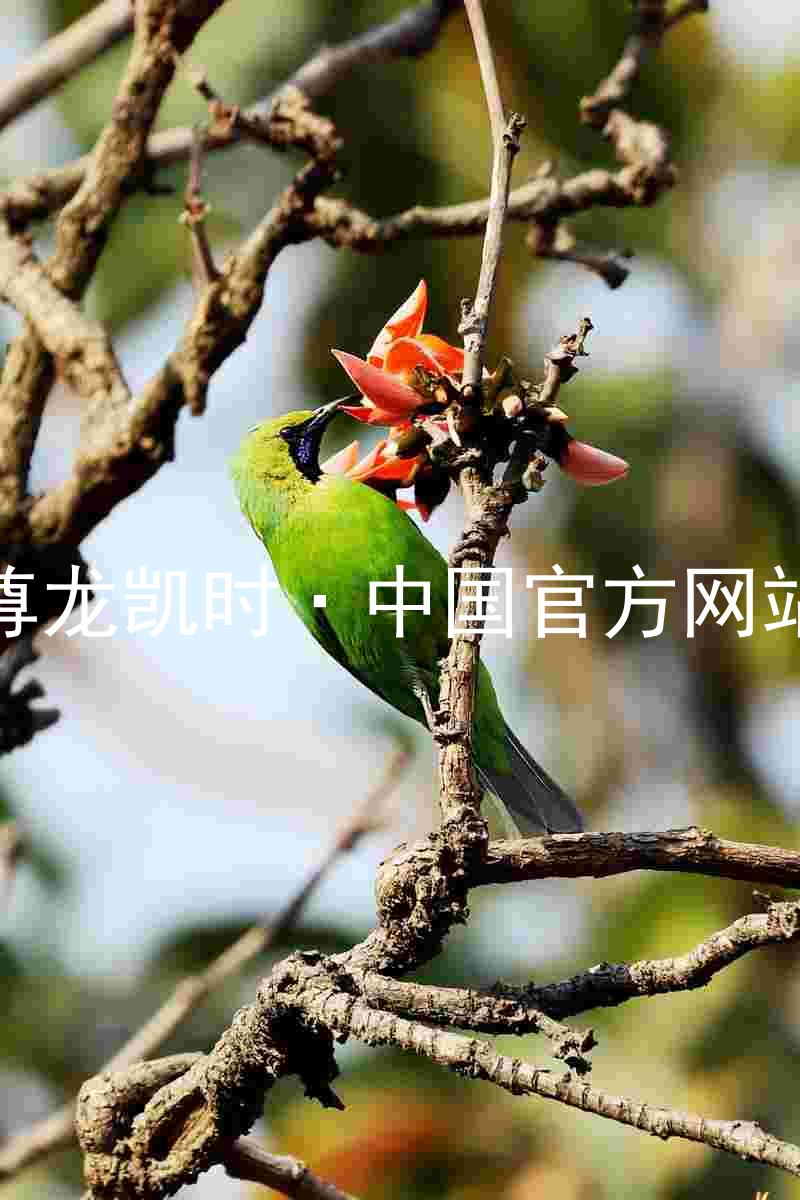 尊龙凯时·中国官方网站