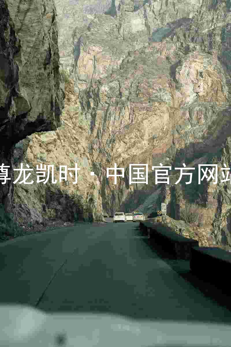尊龙凯时·中国官方网站