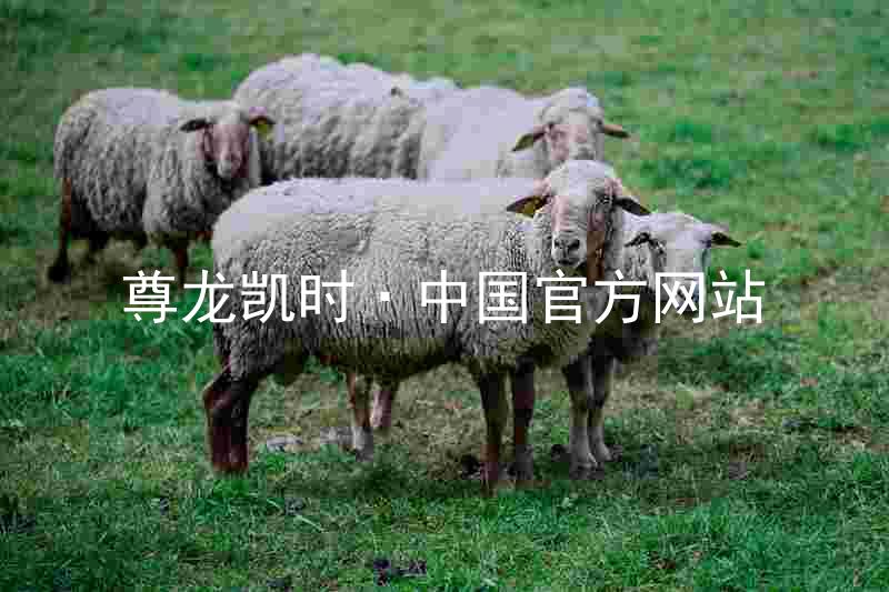 尊龙凯时·中国官方网站